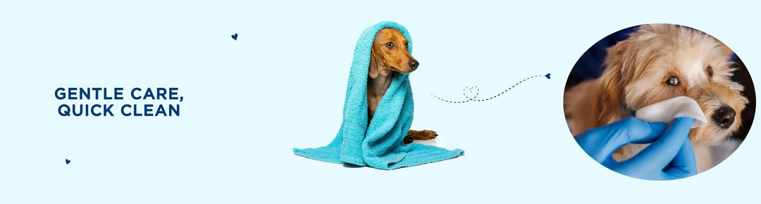 Towels & Wipes - PetsCura