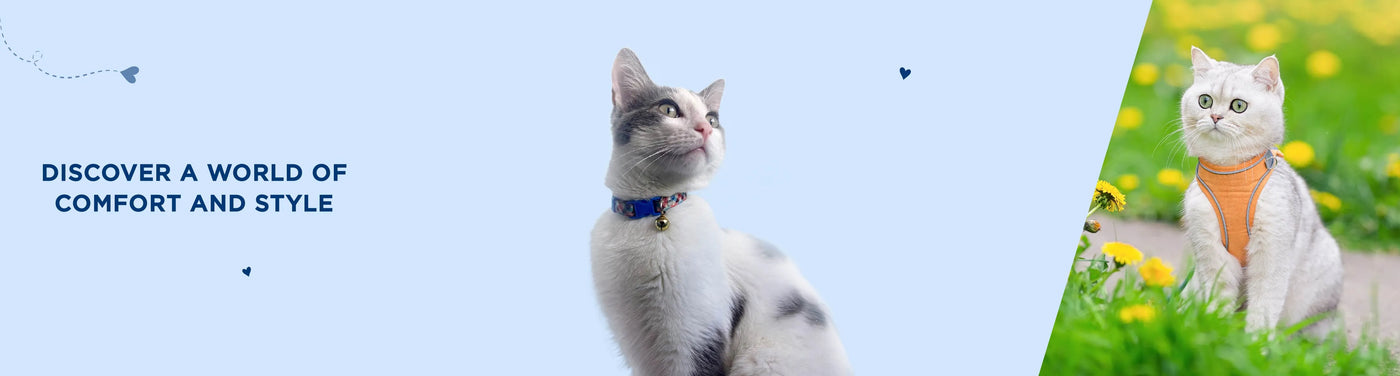 Cat Collars - PetsCura