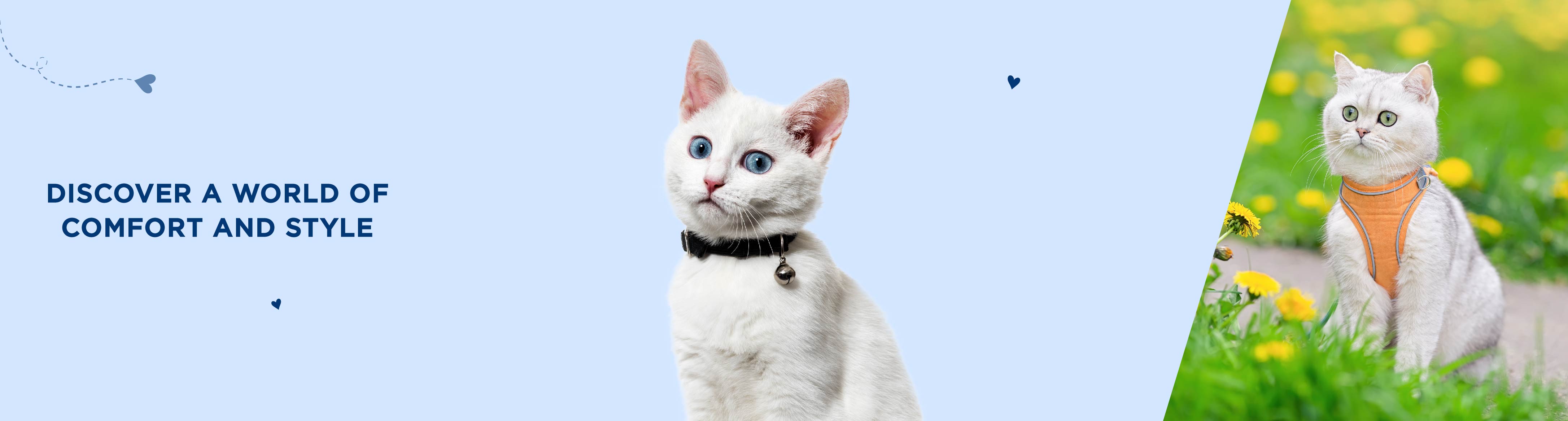 Buy Premium Cat Harness and Collars set Online at PetsCura