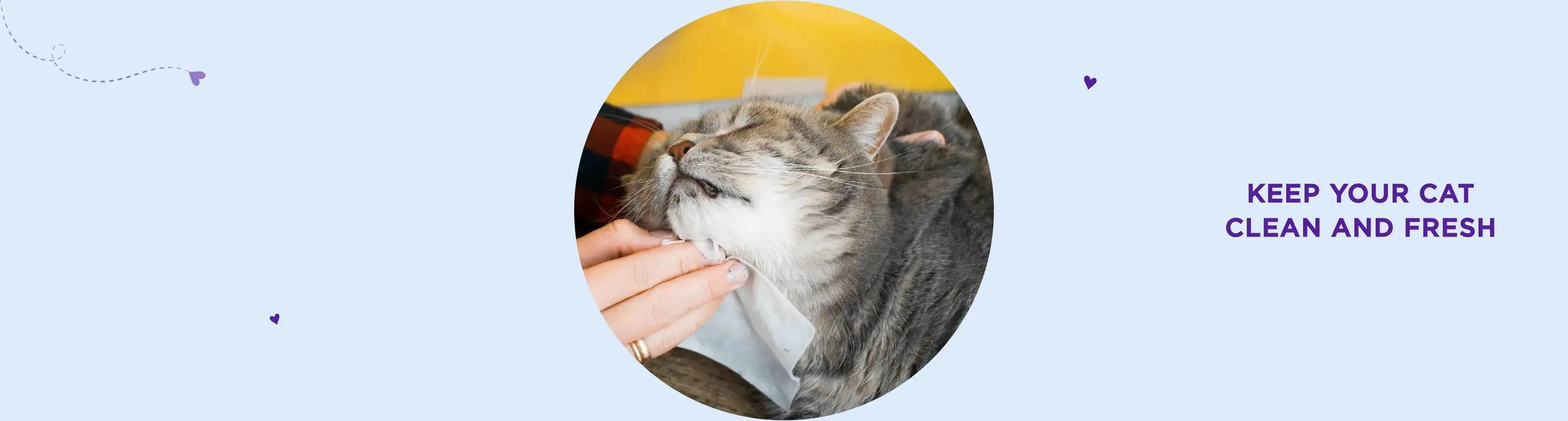 Cat Wipes - PetsCura