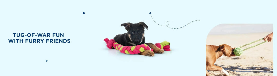 Rope Toys - PetsCura