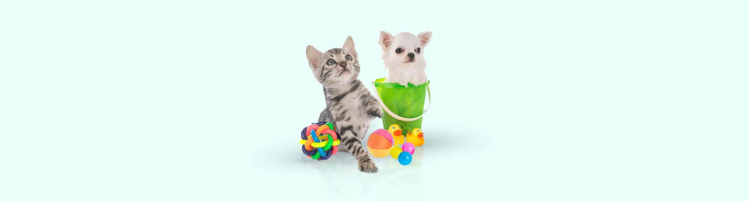 Shop All- Toys - PetsCura