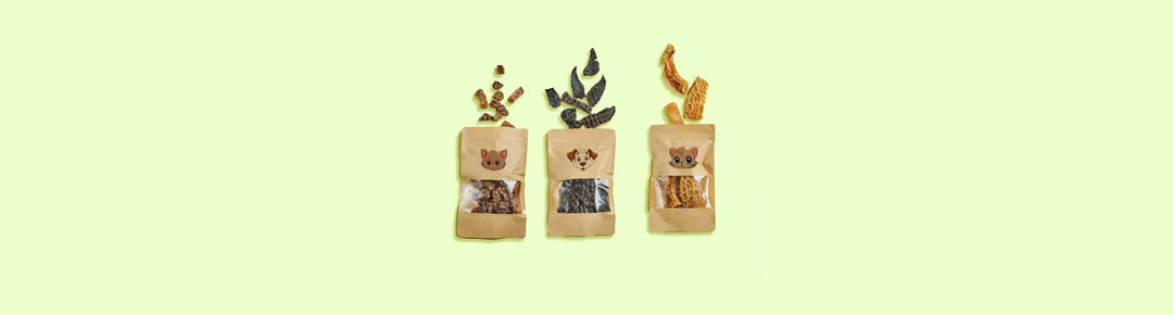 Shop All- Treats - PetsCura