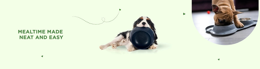 Anti Slip Food Mats - PetsCura