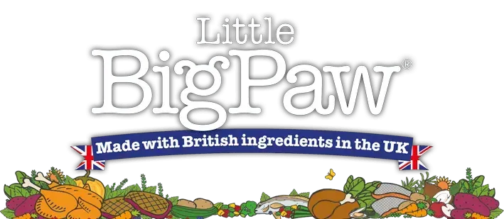 Little Big Paw - PetsCura