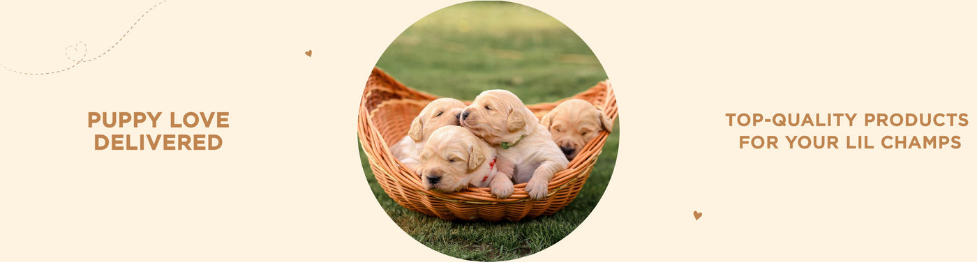 Puppies - PetsCura