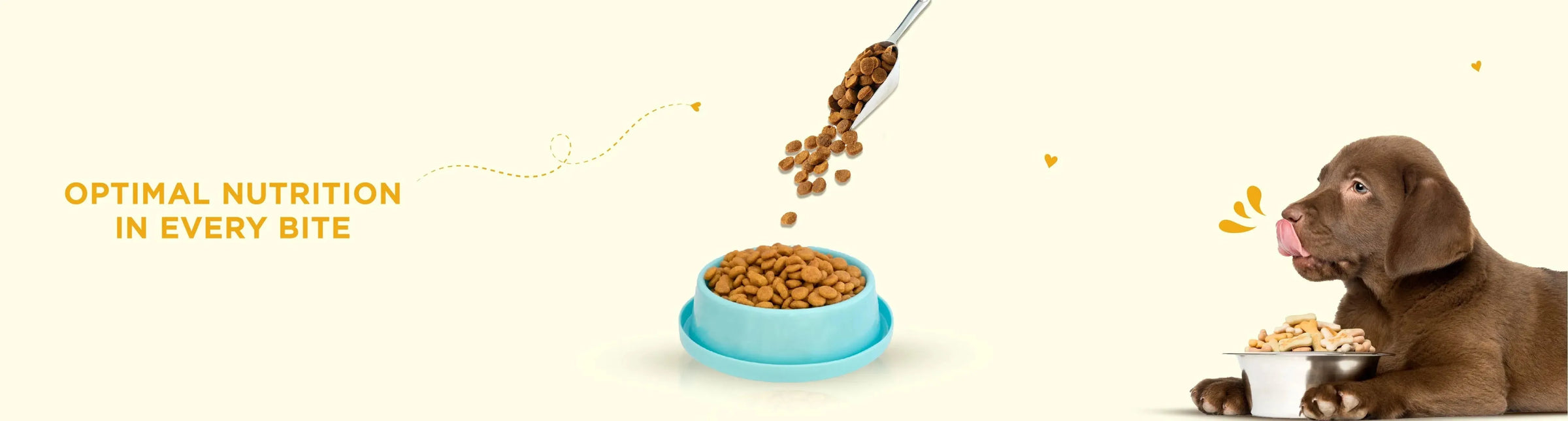 Dry Dog Food - PetsCura