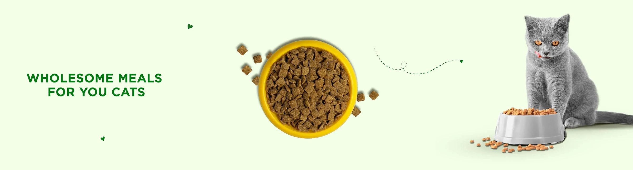 Dry Cat Food - PetsCura