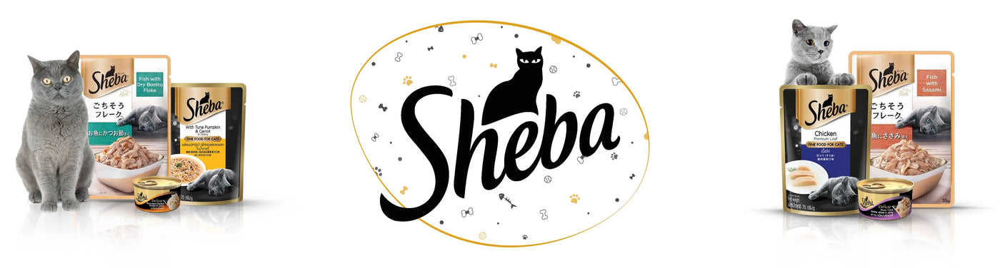 Sheba - PetsCura