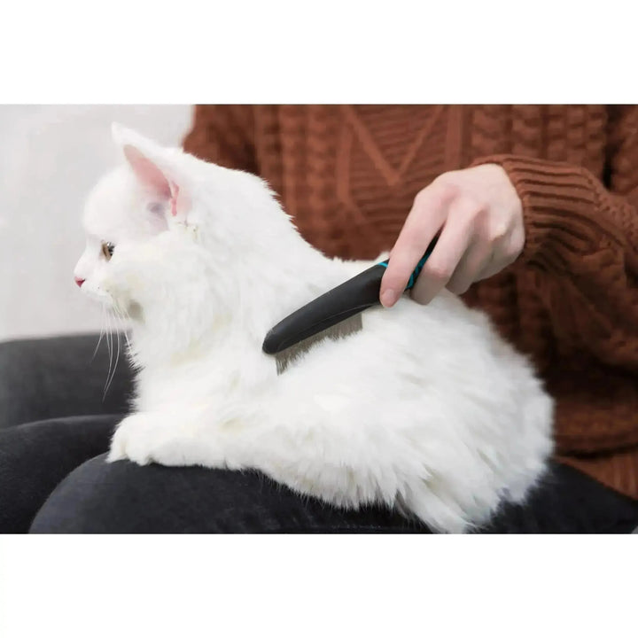 Flea and Dust Comb - PetsCura