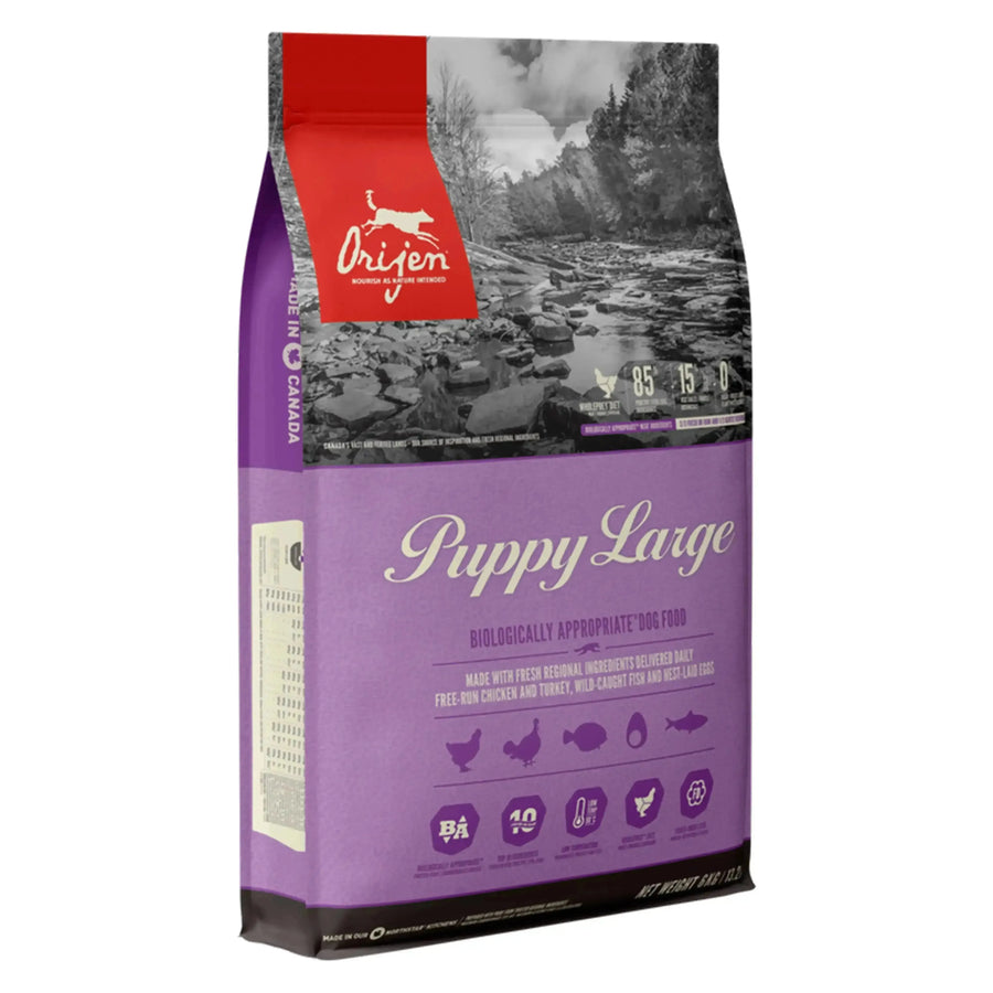 Orijen Large Breed Puppy Food - PetsCura