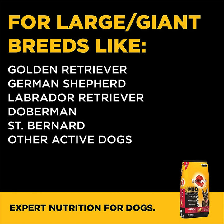 Pedigree Pro Expert Nutrition Active Adult - PetsCura