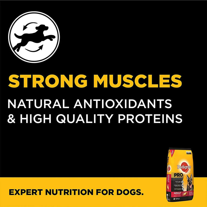 Pedigree Pro Expert Nutrition Active Adult - PetsCura