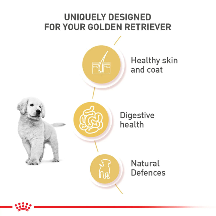 Royal Canin Golden Retriever Puppy - PetsCura