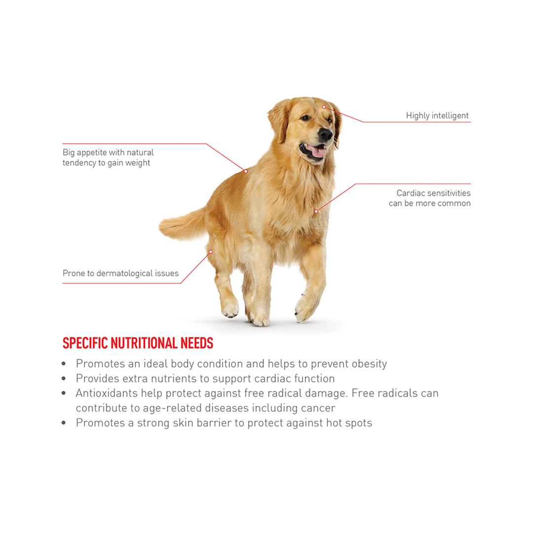 Royal Canin Golden Retriever Puppy - PetsCura