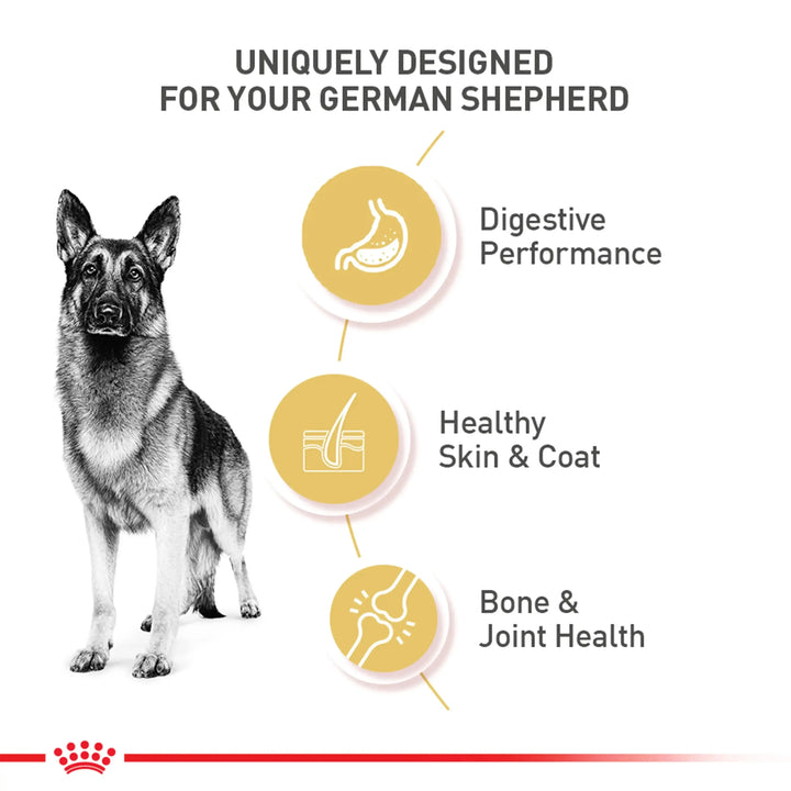 Royal Canin German Shepherd Adult - PetsCura