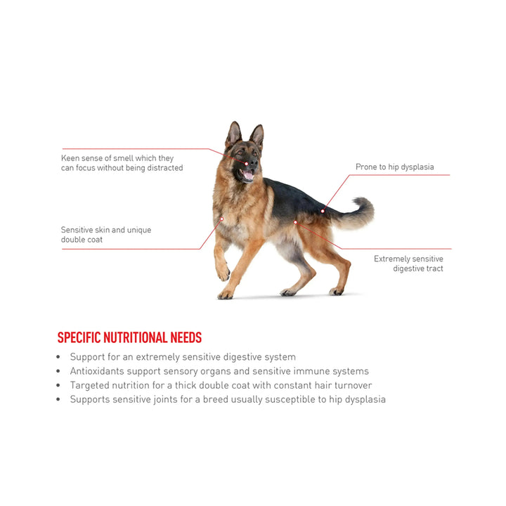 Royal Canin German Shepherd Adult - PetsCura