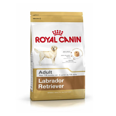 Royal Canin Labrador Retriever Adult - PetsCura