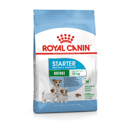 Royal Canin Mini Starter Mother & Baby dog - PetsCura