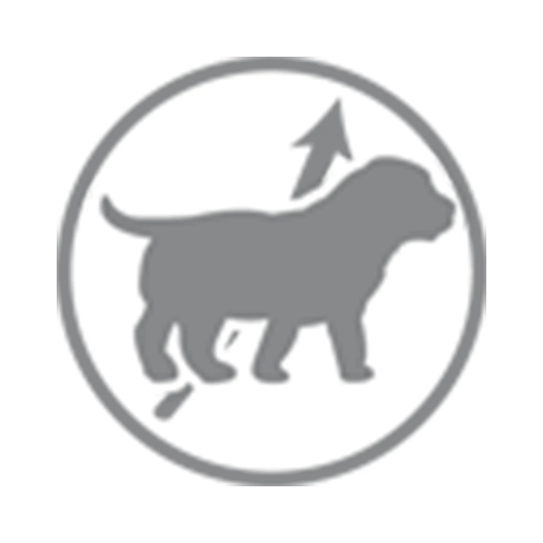 Royal Canin Babydog Milk (1st Age) - PetsCura