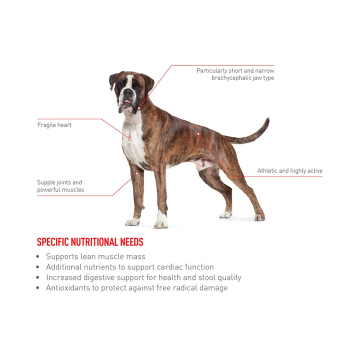 Royal Canin Boxer Adult - PetsCura