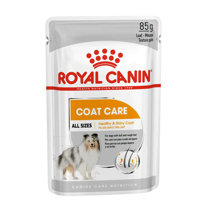 Royal Canin Coat Care Canine Loaf 12 x 85 Gms - PetsCura