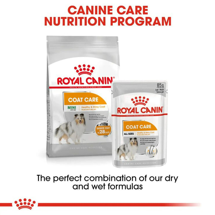 Royal Canin Coat Care Canine Loaf 12 x 85 Gms - PetsCura