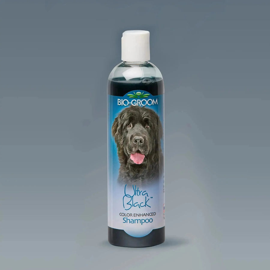 Ultra Black Colour Enhancer Shampoo - PetsCura