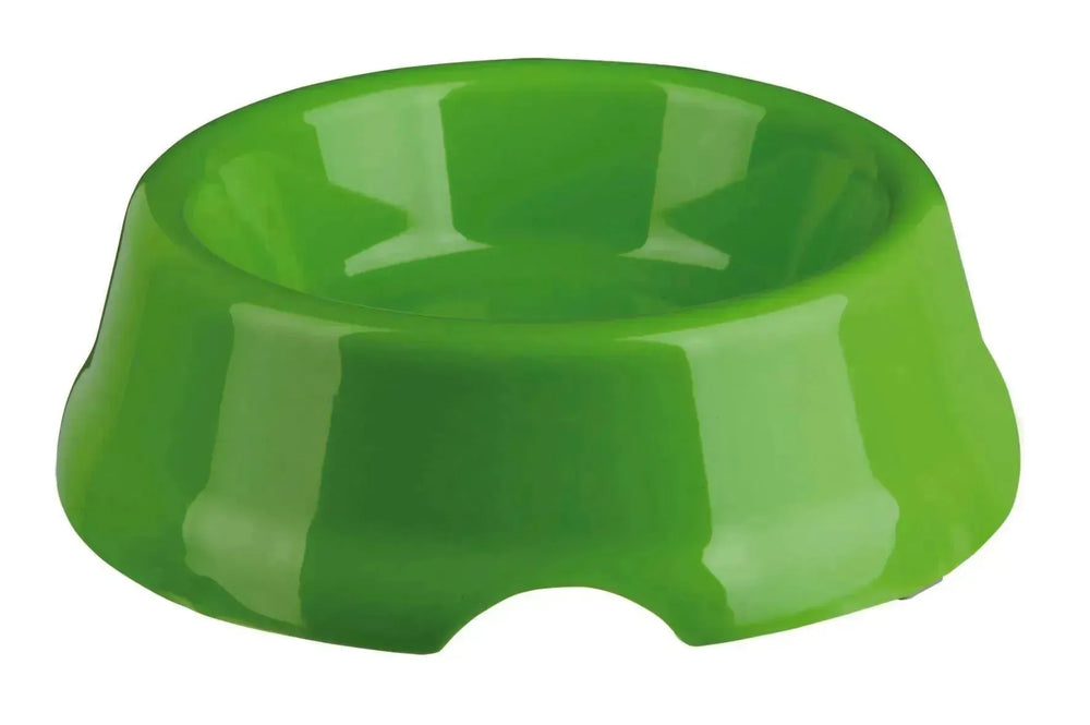 Plastic Bowl for Cats - PetsCura