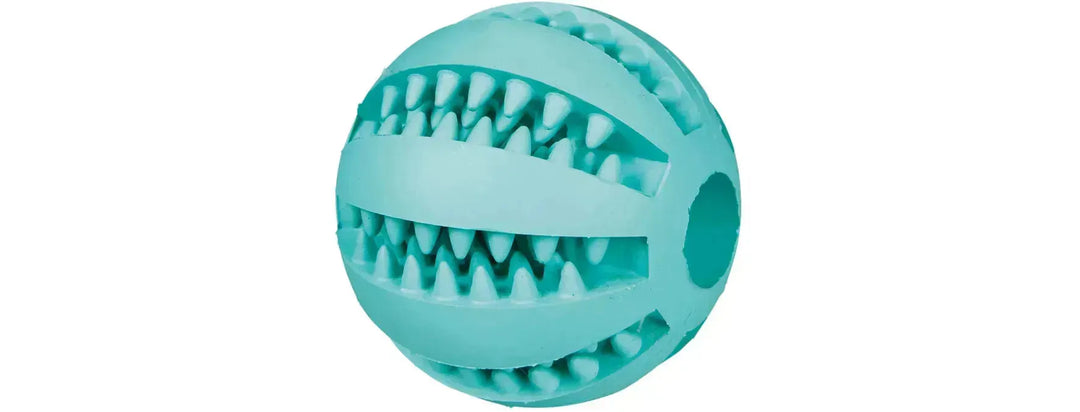 Denta Fun Ball, Mint Flavour - PetsCura