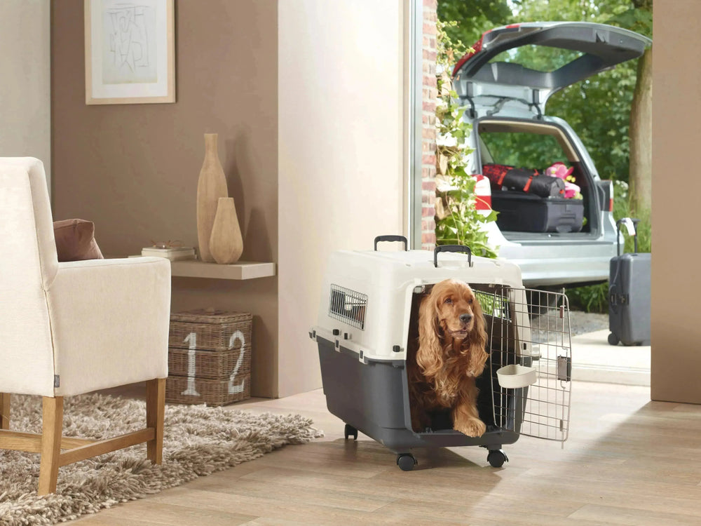 Andres Pet Carrier - PetsCura