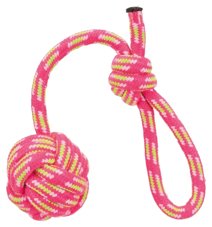 Playing Rope with Woven- In Ball - PetsCura