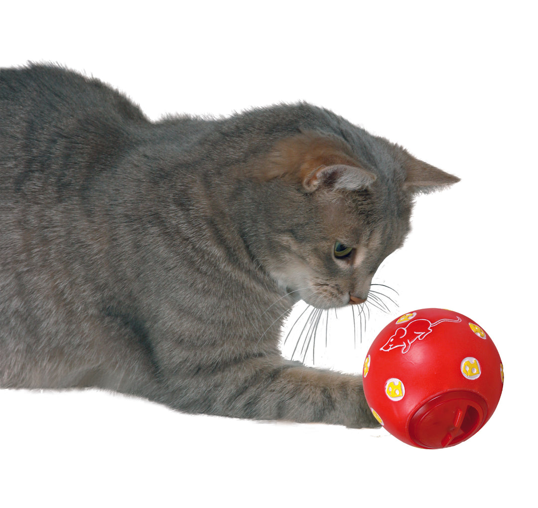 Snack Ball Interactive Toy - PetsCura