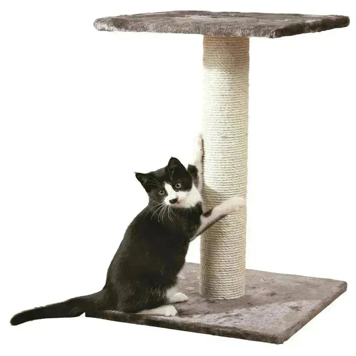 Espejo Scratching Post - PetsCura