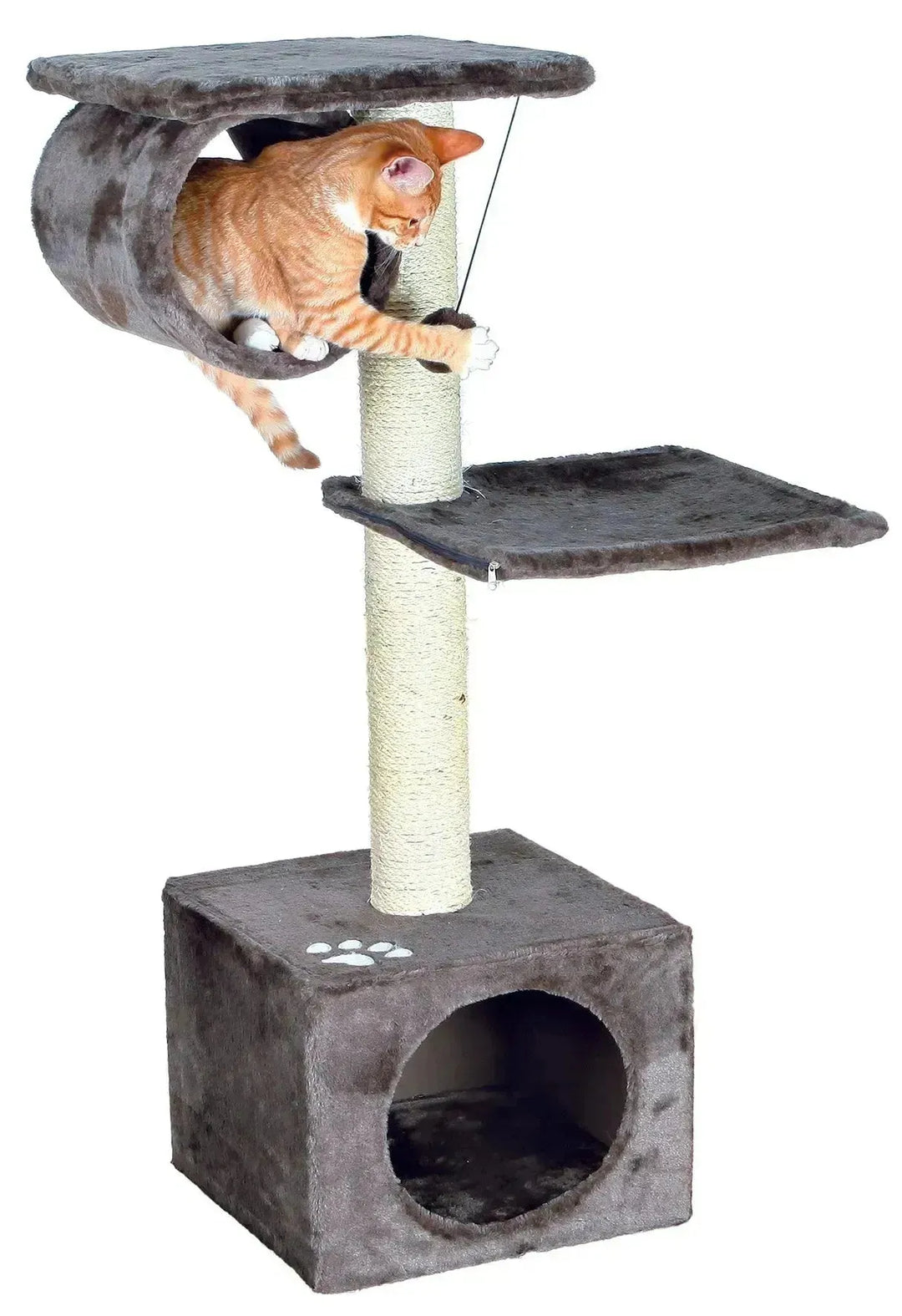 San Fernando Scratching Post - PetsCura