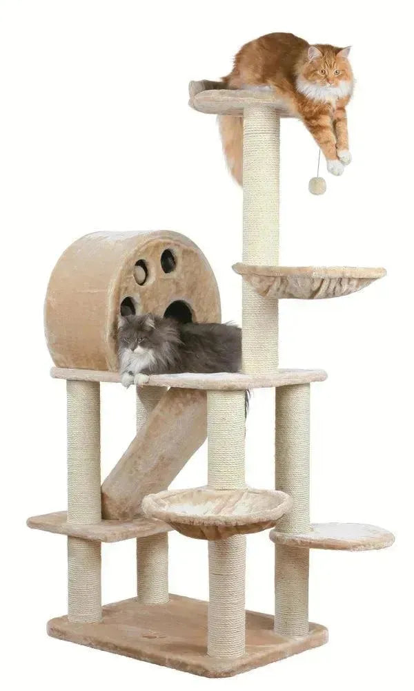 Allora Scratching Post - PetsCura