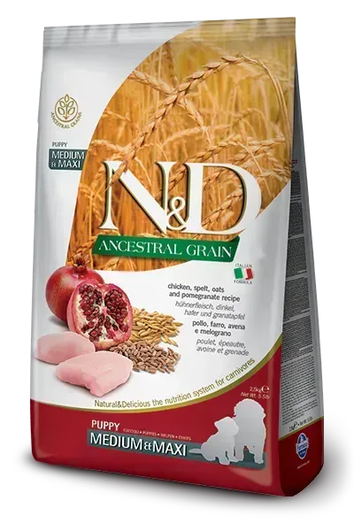 N&D Ancestral Grain CHICKEN & POMEGRANATE PUPPY MEDIUM & MAXI - PetsCura