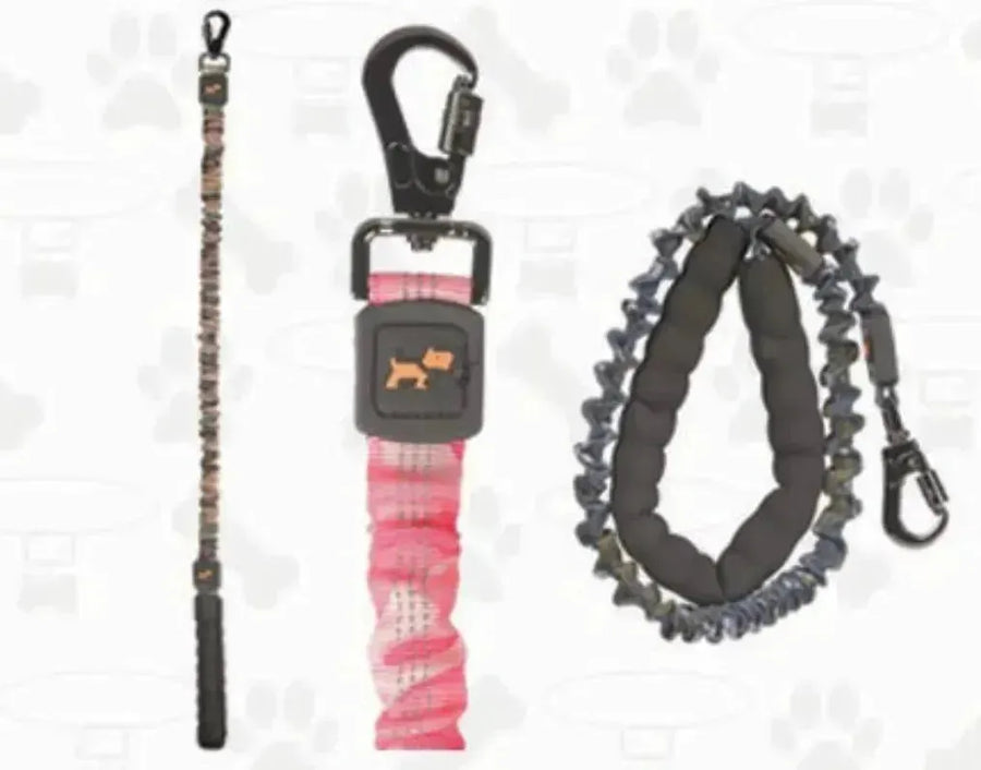 Basil Shock Absorbing Stretch leash - PetsCura