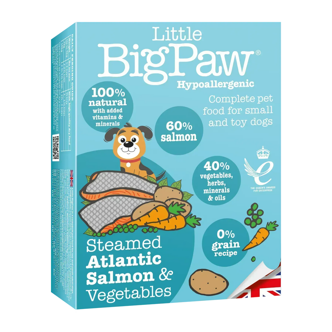 Little Big Paw Steamed Atlantic Salmon & Vegetable Terrine - PetsCura