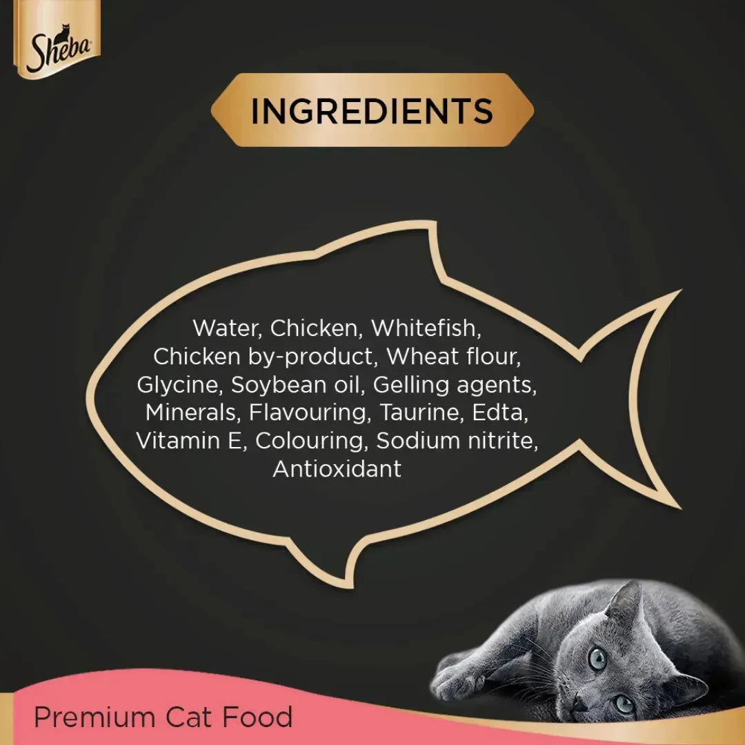 Sheba Premium Wet Cat Food - Chicken Loaf for Kittens - PetsCura