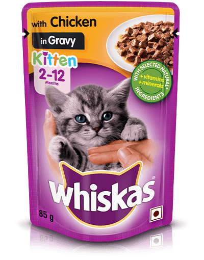Whiskas 1+ Fish Favourites In Jelly 80 X 85g – Pets R Us